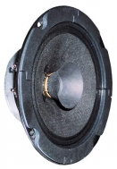 BG 13 P 8 OHM 