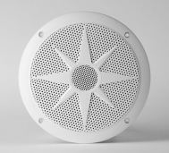 FX 16 WP 4 OHM PAAR 