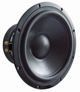 TIW 300 8 OHM 