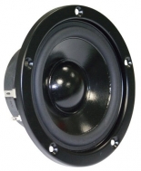 W 100 S 4 OHM 