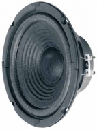 W 170 8 OHM 