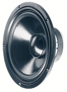 W 250 S 8 OHM 