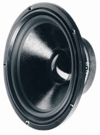 W 300 S 8 OHM 