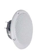 FR 10 WP 4 OHM (white) 