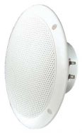 FR 16 WP 4 OHM (white) 