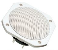 FRS 10 WP 8 OHM (white) 