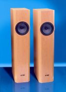 SOLO 100 PAIR 