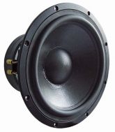TIW 300 8 OHM 
