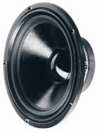 W 300 S 8 OHM 