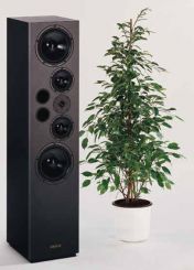 EXPERIENCE V 20 PAAR 